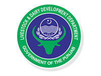 Automation  Brain Private Limited